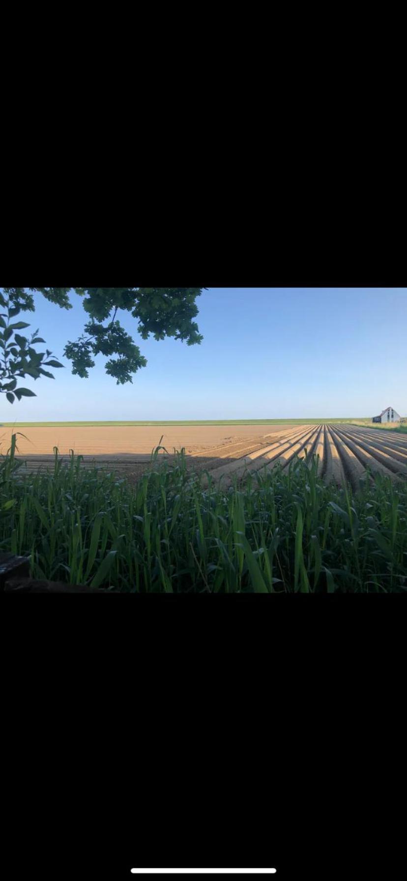 Stacaravan Het Zicht Scherpenisse Exterior foto